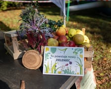 Uczestnicy pikniku WROśnij we WROcław