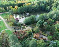 Arboretum Leśne