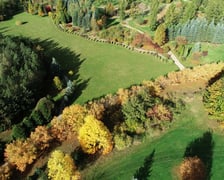 Arboretum Leśne