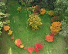 Arboretum Leśne