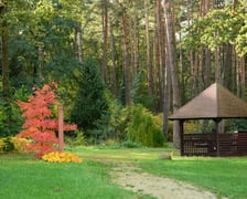 Arboretum Leśne