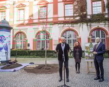 Dziedziniec Ossolineum