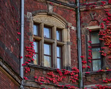 Budynek Muzeum Narodowego we Wrocławiu