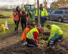 Wzdłuż ulicy Kosmonautów powstaje szpaler klonów. Duże drzewa o średnicy ponad 30 centymetrów, wysokie na 4,5-5 metrów, sadzone są od skrzyżowania z Fieldorfa i 11 Listopada do skrzyżowania z al. Architektów.