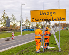 Wzdłuż ulicy Kosmonautów powstaje szpaler klonów. Duże drzewa o średnicy ponad 30 centymetrów, wysokie na 4,5-5 metrów, sadzone są od skrzyżowania z Fieldorfa i 11 Listopada do skrzyżowania z al. Architektów.