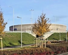 Drzewa posadzone w pobliżu Tarczyński Arena.