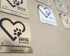 Wyniki plebiscytu „Wrocławskie Serce dla Zwierząt 2023”