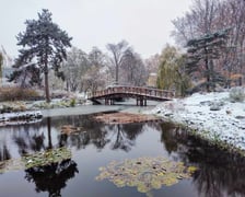 <p>Zimowe, weekendowe spacery po Ogrodzie Botanicznym ruszają 13 stycznia 2024</p>