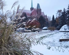 <p>Ogr&oacute;d Botaniczny zimą wygląda pięknie.&nbsp;</p>