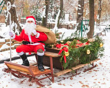 <p>Sanie Świętego Mikołaja we wrocławskim zoo przy wybiegu renifer&oacute;w</p>