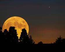 <p>Pełnia to faza księżyca, podczas kt&oacute;rej Księżyc znajduje się w opozycji do Słońca, tzn. kiedy jest po przeciwnej stronie Ziemi niż Słońce.&nbsp;</p>