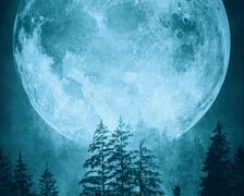 <p>Pełnia Niebieskiego Księżyca występuje raz na 2-3 lata.</p>