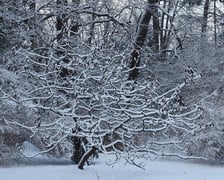 Park Szczytnicki zimą