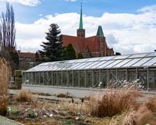 Ogród Botaniczny zimą