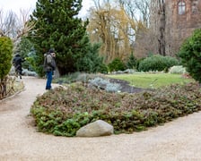 Ogród Botaniczny zimą