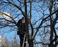 Budki lęgowe dla ptaków montowane we wrocławskich parkach