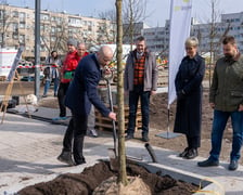 Sadzenie drzew na Nowym Targu, marzec 2024