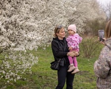 <p>Park Krzycki już gotowy. Mieszkańcy już z niego korzystają</p>