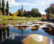 <p>Wrocławski Ogr&oacute;d Botaniczny otwiera się już 1 kwietnia. I to nie prima aprilis.&nbsp;</p>