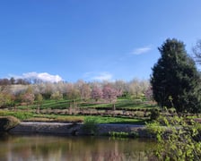 Arboretum Wojsławice