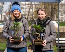 Sadzenie Mikrolasu Miyawaki we Wrocławiu, 21 marca 2024 roku