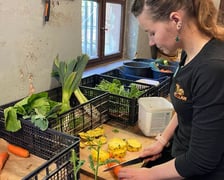 <p>Opiekunka, Pani Agata Kociołek przygotowuje specjalny posiłek-niespodziankę dla tapira</p>