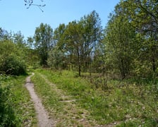Sprzątanie Lasu Kuźnickiego, 27.04.2024