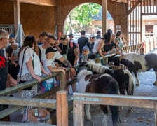 Dziedziniec Zwierzęcy w Zoo Wrocław po ponownym otwarciu