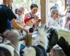 Dziedziniec Zwierzęcy w Zoo Wrocław po ponownym otwarciu