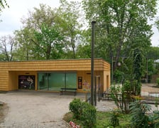 Przeprowadzka flamingów
