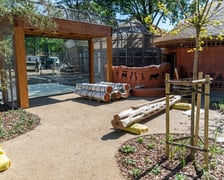 Budowa nowej lwiarni we wrocławskim Zoo na ostatniej prostej