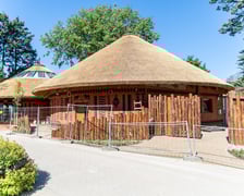 Budowa nowej lwiarni we wrocławskim Zoo na ostatniej prostej