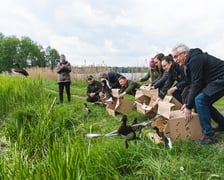 Projekt podgorzałki