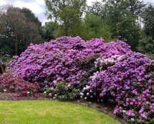 <p><strong>Adres:</strong></p>
<p><strong>Arboretum Wojsławice</strong></p>
<p>Wojsławice 2, 58-230 Niemcza</p>
<p><strong>Godziny otwarcia:</strong></p>
<p>Codziennie: 9.00 - 18.00 (zwiedzanie do godz. 20.00)</p>