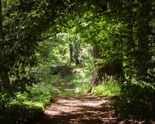 Ogród Botaniczny Roślin Leczniczych Uniwersytetu Medycznego