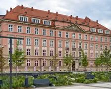 Plac Nowy Targ coraz bardziej zielony. Zdjęcia po zielonej rewolucji - czerwiec 2024 r.