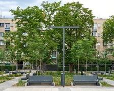 Plac Nowy Targ coraz bardziej zielony. Zdjęcia po zielonej rewolucji - czerwiec 2024 r.