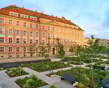 Zielony plac Nowy Targ o wschodzie słońca