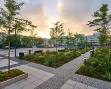 Zielony plac Nowy Targ o wschodzie słońca