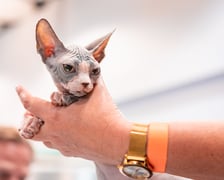 Dolnośląskie Targi Zoologiczne na Tarczyński Arenie