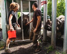Kiran i jej przygotowania do podróży
