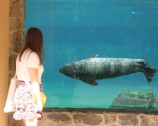 Wrocławskie ZOO. 27 lipca 2024 roku