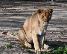 <p>Wanja</p>