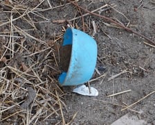 Przedmiot  znaleziony na wybiegu zwierząt