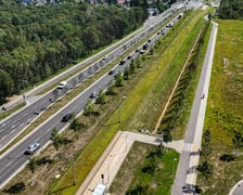 Młode drzewa przy ul. Kosmonautów