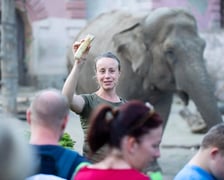 <p>Anna Konieczko, opiekunka w Wydziale Zwierząt Kopytnych z jedną ze swoich podopiecznych</p>