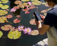 Ogród Botaniczny UWr