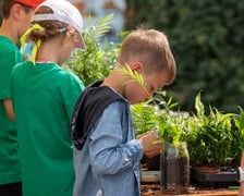Piknik w PSZOK przy Michalczyka, 1 września 2024