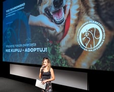Premiera spotu adopcyjnego wrocławskiego schroniska dla bezdomnych zwierząt