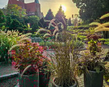 <p>Ogr&oacute;d Botaniczny we wrześniu&nbsp;</p>
